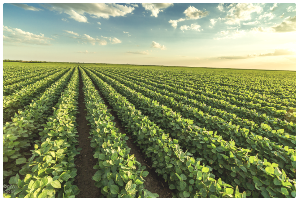 영농손실보상, 어떻게 해야 잘 받을 수 있을까?